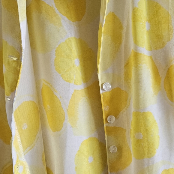 Sheer lemon button and tie front shirt - Picture 7 of 8